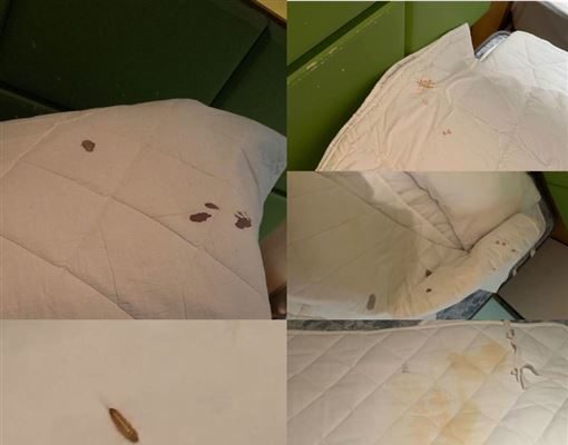 英国留学生回国所住的隔离旅馆的被褥床单上有血、尿迹等。.jpg