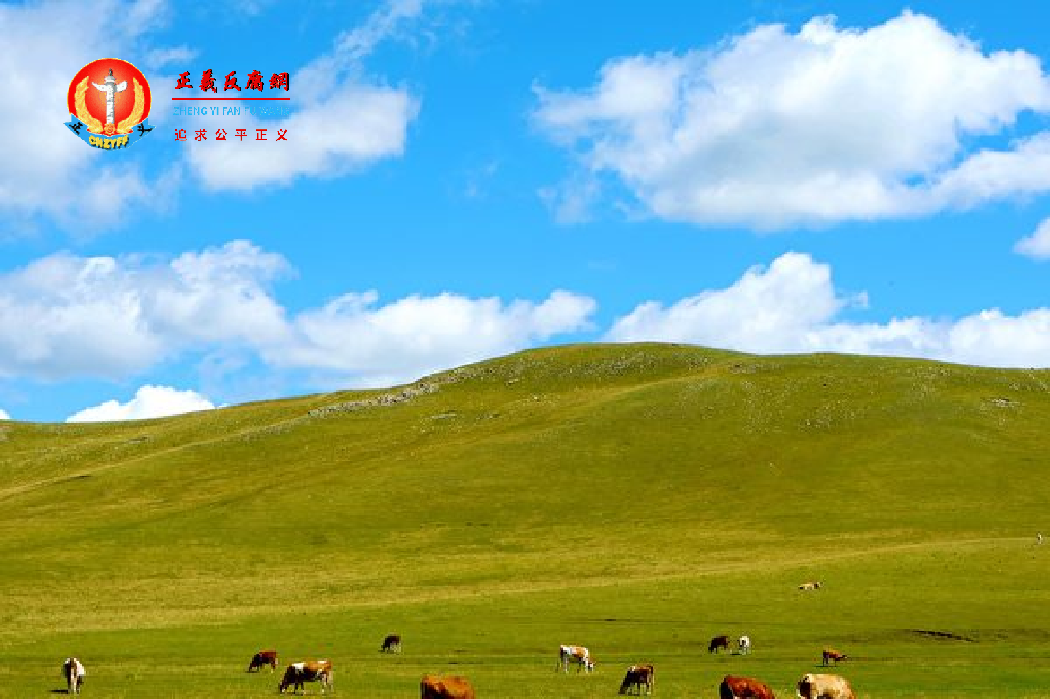 内蒙古网红宝鲁日在草原上点外卖，等了快4个小时。图为内蒙古的草原。.png